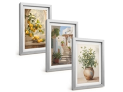 Composição De Quadros Limões Em Um Vaso, Plantas Espelharte (3 Peças 20x30 Cm)