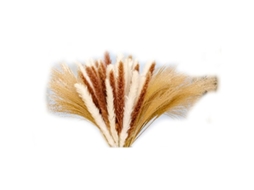 65 Hastes de Capim, Dos, Pampas Seco, Ideal para Arranjos Boêmios, Decoração de Casamento, Arranjos Florais e Presentes para Mulheres BRILVIBERA