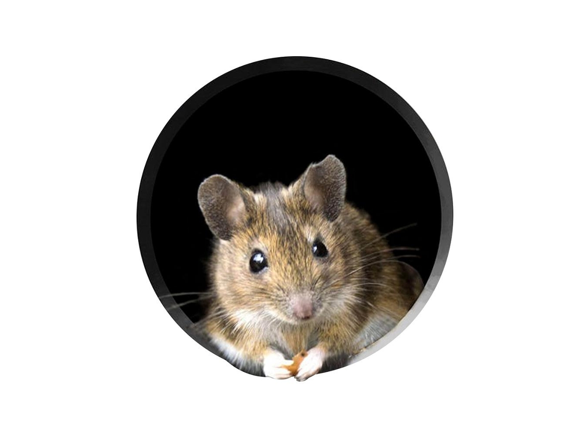 Adesivo de Parede Buraco de Rato Decorativo para Casa e Cozinha Cute e Criativo | S/MARCA