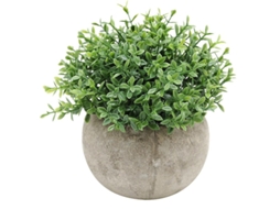1Pcs Plantas Verdes ALLINLESS