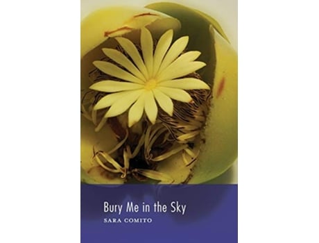 Livro Bury Me In The Sky De Sara Comito (inglês)
