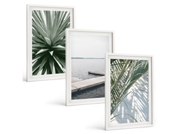 Conjunto De Pinturas Folhas De Palmeira Ponte De Madeira Espelharte (3 Peças 40x60 Cm)