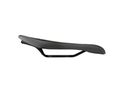 Fizik Luce