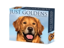 Livro Goldens 2026 Box Calendar de Willow Creek Press (Inglês)