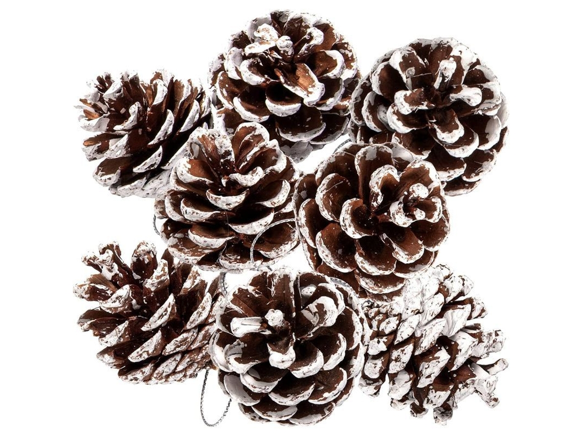 12 conchas de pinheiro naturais com corda 4.5cm para decoração de Natal e festas S/MARCA