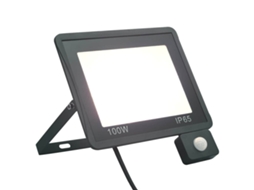 Vidaxl Projetor C/ Iluminação Led E Sensor 100 W Branco Frio