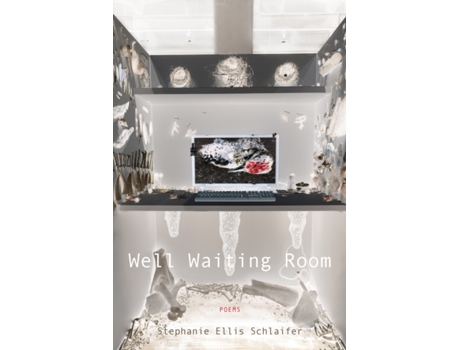 Livro well waiting room de stephanie ellis schlaifer (inglês)