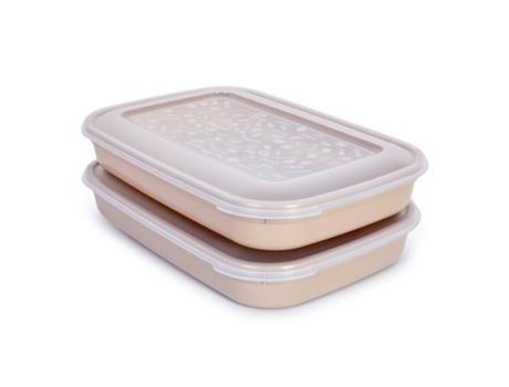Tupperwares PLASTIC FORTE (25 x 18 x 8 cm - Plástico - Multicor)