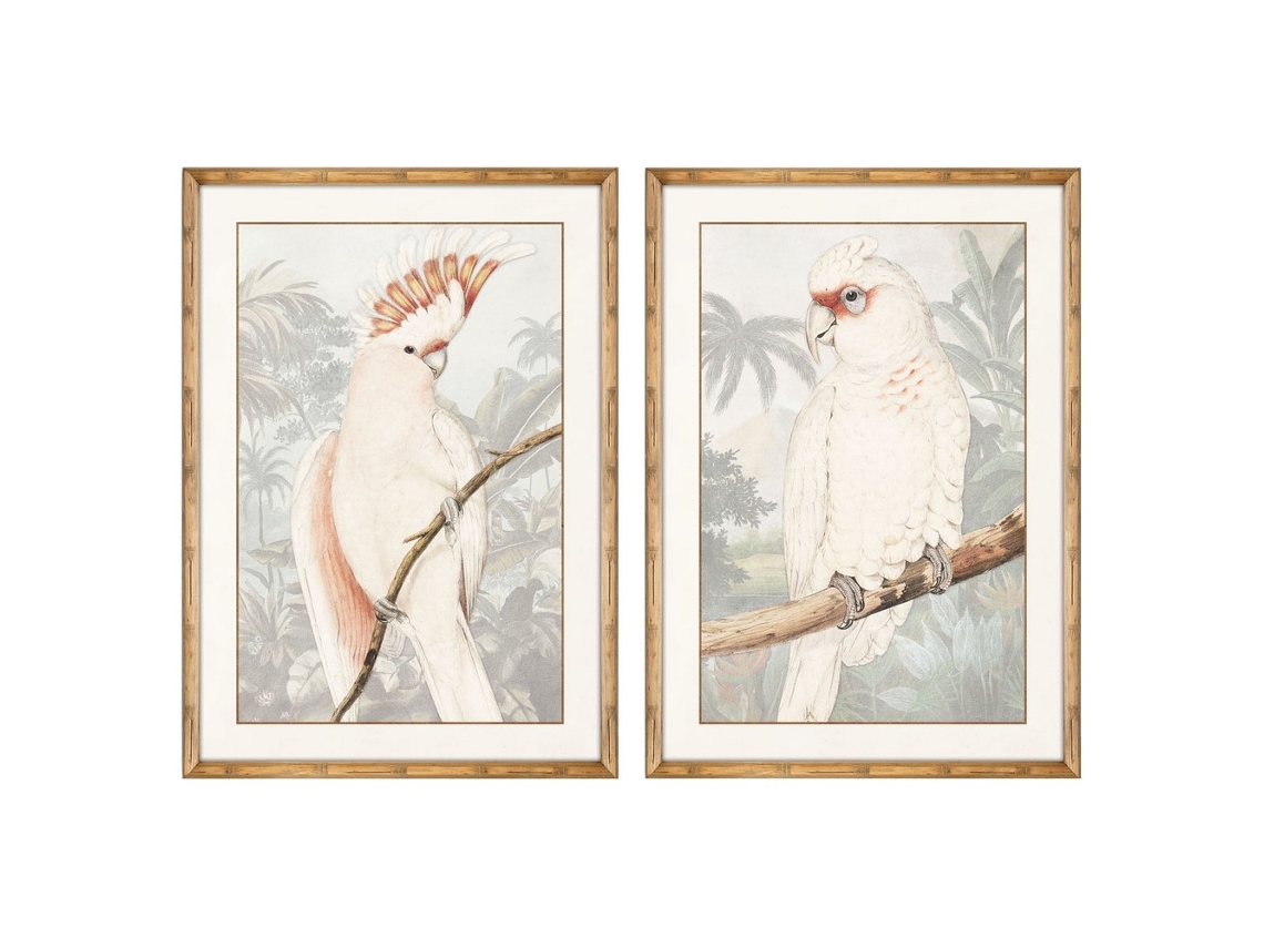Quadro DKD HOME DECOR Parrot (50 x 2 x 70 cm)