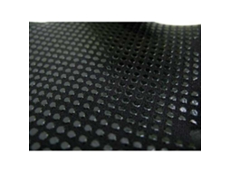 Epsealon Caranx 5 Mm