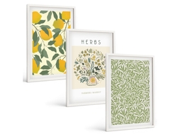 Quadros Decorativos Para Parede Limões Com Ervas E Folhas Moldura Branca Pinturas De Quarto Espelharte (3 Piezas De 40x60 Cm)