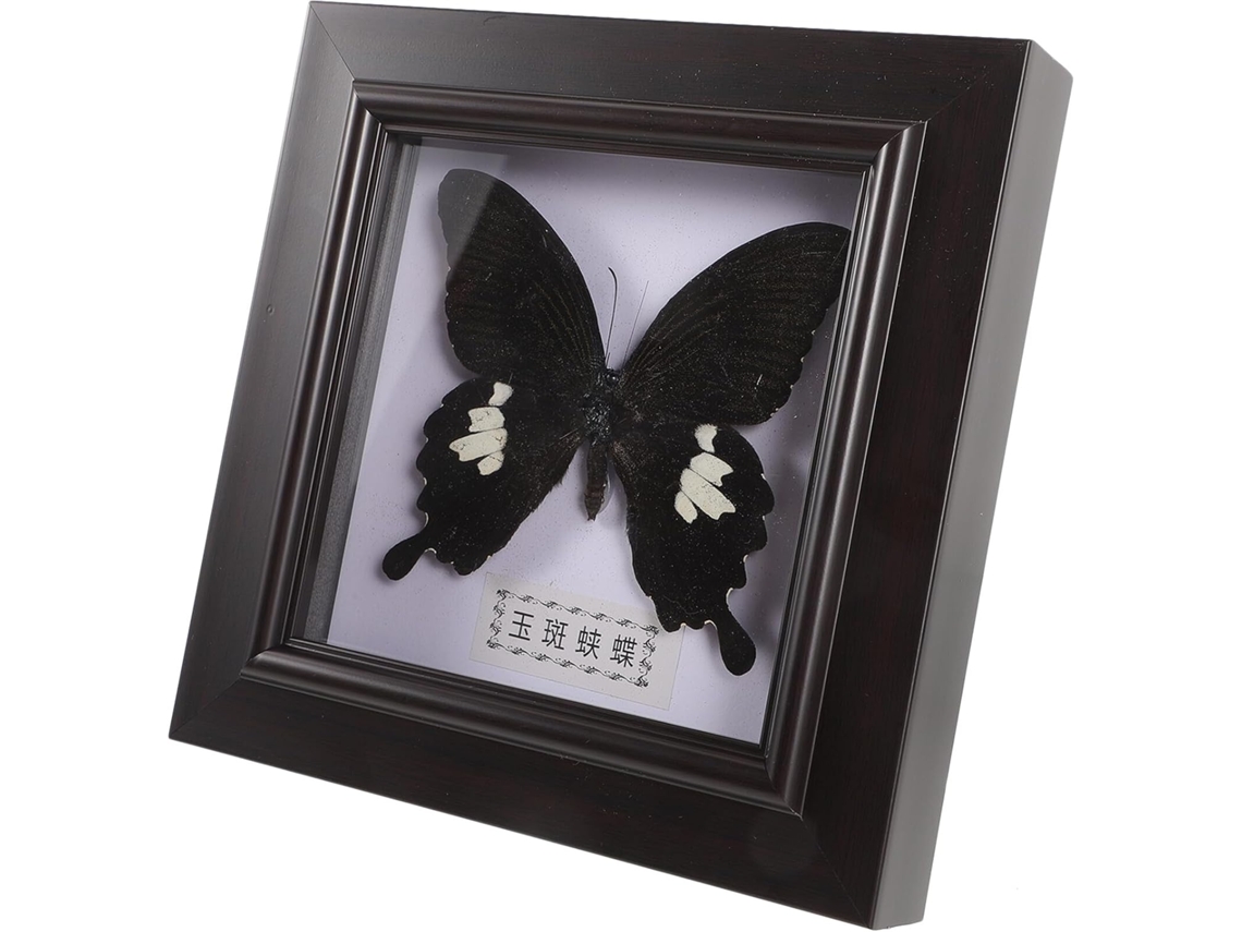 Moldura Parede Artesanal Réplica Espécime Decoração Exclusiva Ornamento Decorativo Escritório Tamanho Único GOKOCO