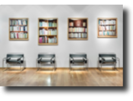 Livro Germinal: o núcleo Cabrita Reis na coleção de Arte Fundação EDP .