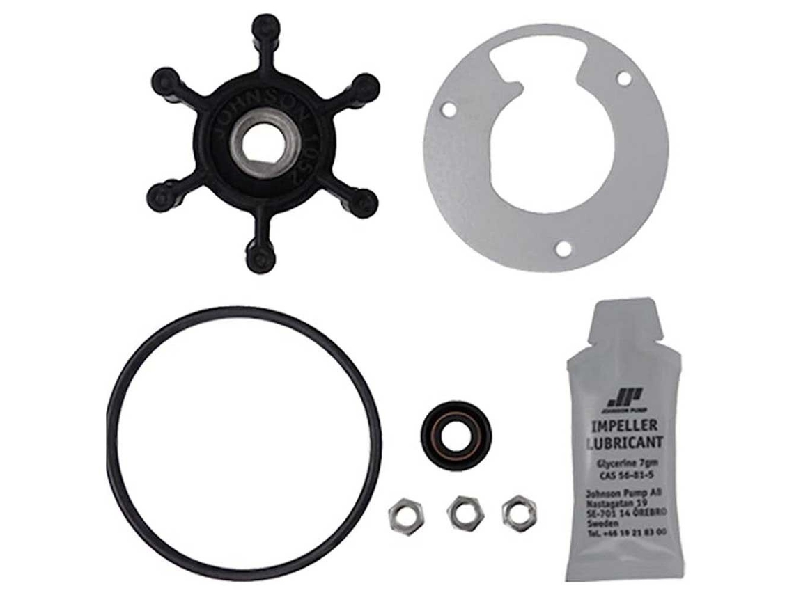Conjunto de Serviços F3B-19 Prateadojohnson Pump