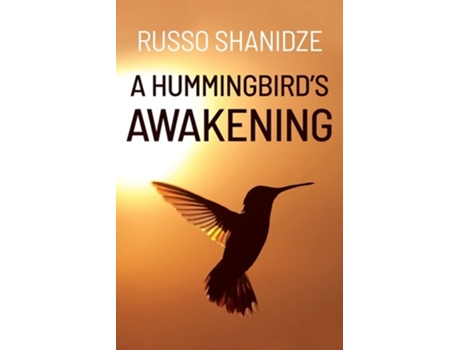 Livro A Hummingbirds Awakening De Russo Shanidze (inglês)
