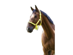 Cabeção NORTON Fluo Amarelo