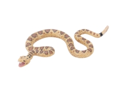 Primerox modelo de Cobra Mini Simulação Alto Brinquedo Engano Educativo Decorativo para Crianças