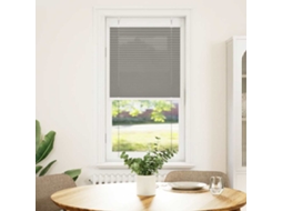 Vidaxl Antracite Plissada Cega 55x100 Cm Largura Tecido 54,4 Cm