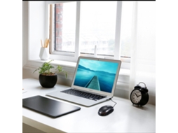 Rato LAXISCREED 800dpi Óptico Usb Portátil