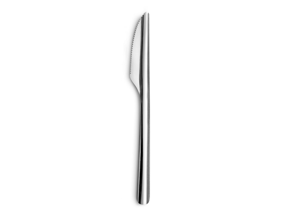 Conjunto de Facas de Cozinha Amefa Ecologic Slim Metal Aço 12 Unidades