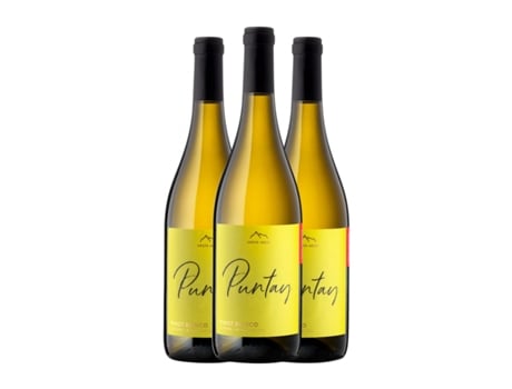 Vinho branco ERSTE NEUE Puntay Pinot Branco Alto Adige (0.75 L - 3 Unidades)