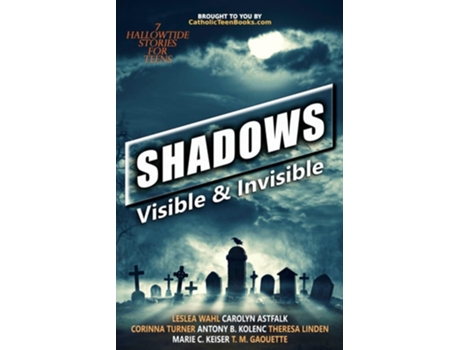 Livro Shadows Visible amp Invisible de Leslea Wahl, Carolyn Astfalk et al. (Inglês)