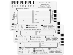 Réguas De Ecg De 3 Etapas, Ferramenta De Medição Em Plástico