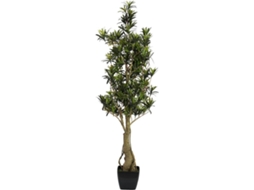 Planta Artificial EUROPALMS Podocarpus (Verde - 115 cm)