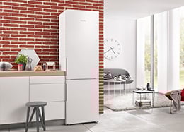 Frigoríficos, Arcas e Caves Vinho