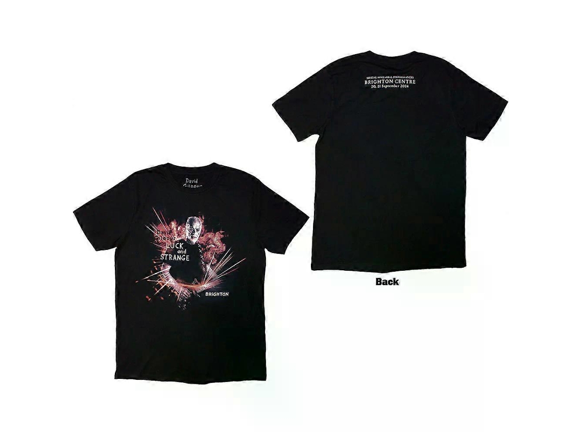 David Gilmour Luck Strange Brighton T shirt ROCKINSTONE Unisex Best Sellers Sizem