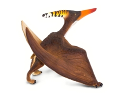 SAFARI Pterandon