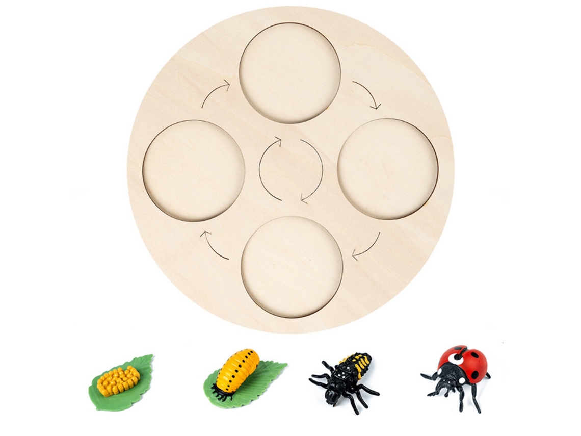 Rebe-kit Ciclo De Vida De Insectos Com Bandeja De Madeira Para Projetos Escolares E Ferramentas Educativas Infantis
