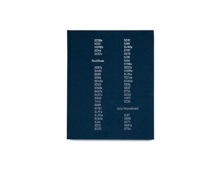 Livro Faultlines de John Volynchook (Inglês - Capa Dura)