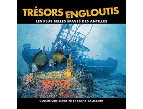 Livro Trésors Engloutis Les Plus Belles Épaves Des Antilles De Dominique Serafini E Cathy Salisbury (francês)