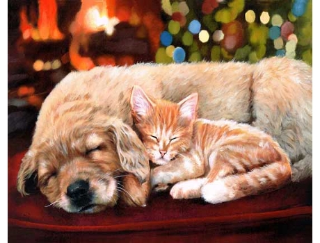 Tela FIGURED' ART Paint by Numbers - Companheiros de sono  - Figured' Art Fa10040-Y (51x2,5x41,3 cm)