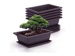 Conjunto de 6 vasos quadrados de plástico com pires para bonsai e suculentas, jardim, sala de estar e escritório.