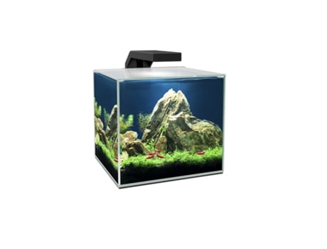 Conjunto Aquário Cube Aqua LED 15L com LED e Filtragem de Alto Rendimento, Tampa e Consumíveis. Cor Preto
