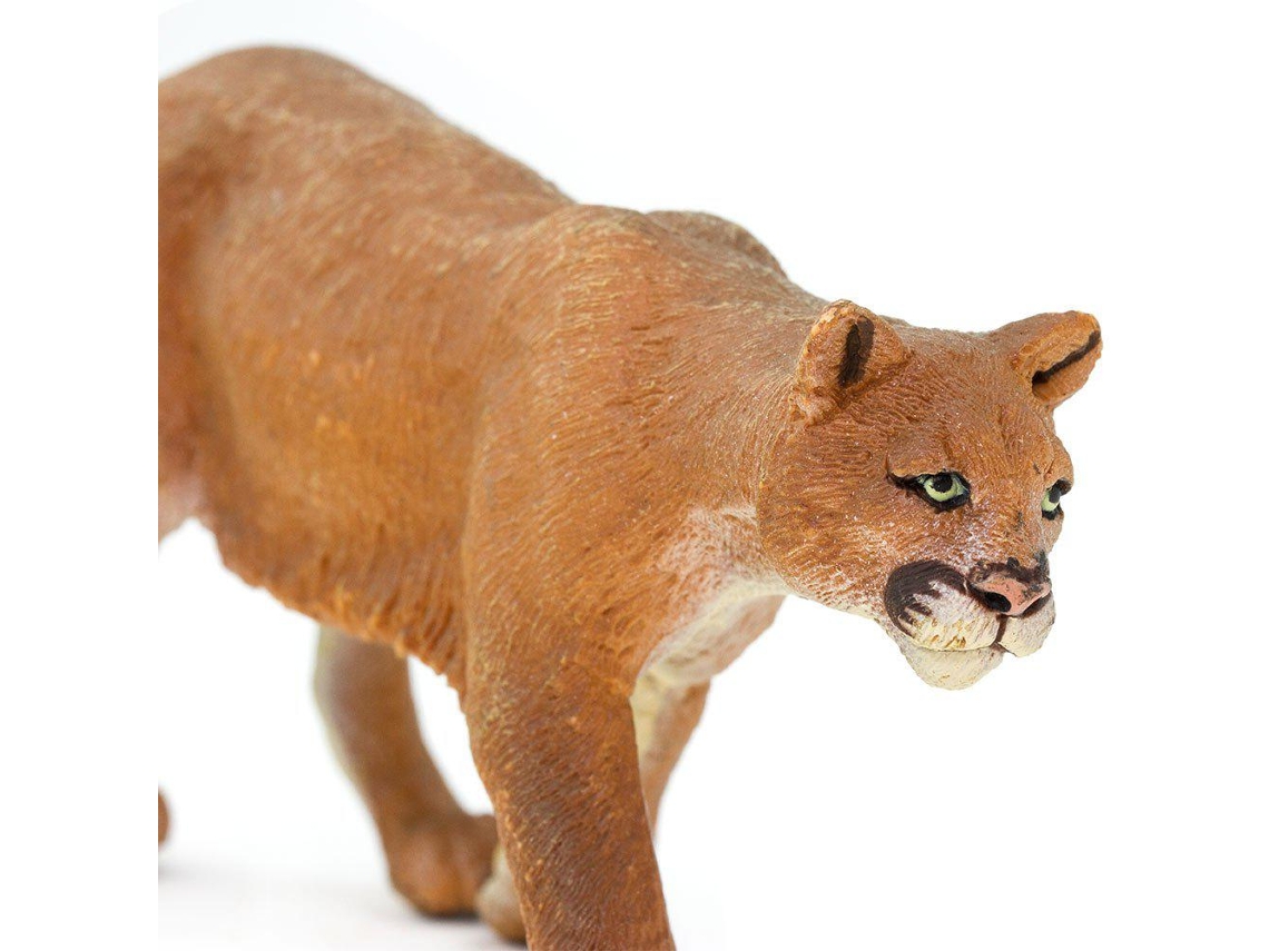 SAFARI Mountain Lion