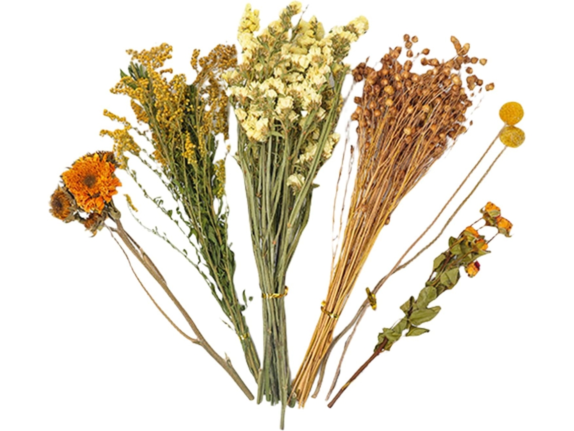 Forro de Flores Secas para Hamster Decoração Habitat com Animais Gaiola Tema Natural. Acessórios CHABERLU