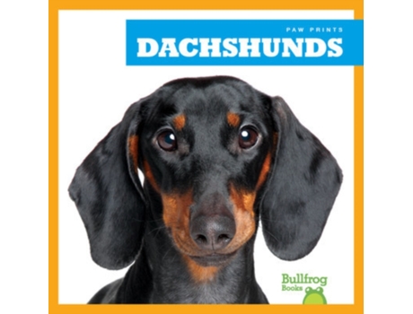 Livro Dachshunds de Kaitlyn Duling (Inglês - Capa Dura)