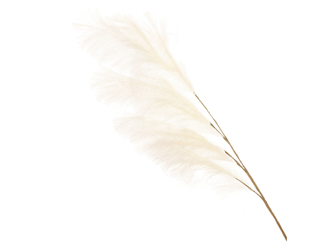 Relva Ornamental Feather Reed Pampas Grass Branco 110cm LAXISCREED