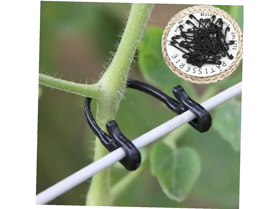 Fita adesiva AQUAFORGE, 100m, para amarrar plantas