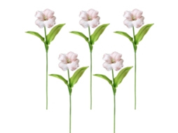 Bouquet de 5 rabos de tesoura curvos para embalagem e envio em champagne claro LAXISCREED
