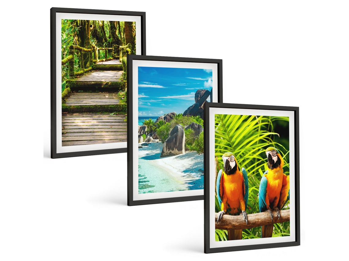 Composição De Quadros Floresta Tropical, Cachoeira, Papagaios Moldura Preta Fotos Para O Escritório Espelharte (3 Piezas De 40x60 Cm)