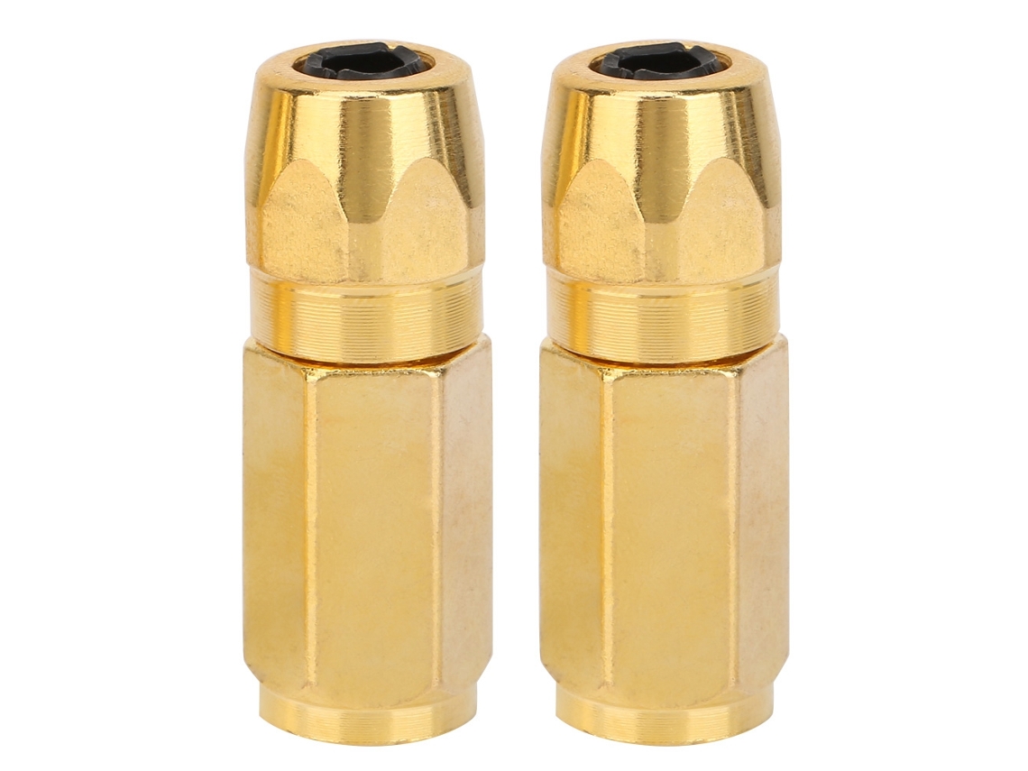 2 Peças De Bico Plano De Grosso Para Pistola De Grosso Acessórios De Lubrificação (ouro)