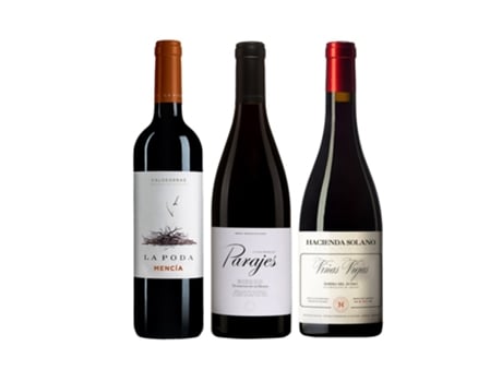 Tintos Para Degustar 2 Campoluz Enoteca