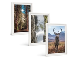 Galeria De Pinturas Murais Estrada, Floresta, Montanhas, Veado, Natureza Moldura Branca Pinturas De Quarto Espelharte (3 Piezas De 40x60 Cm)