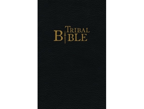 Livro Tribal Bible Stories of God from Oral Tradition 1 Story de Daniel V Runyon (Inglês)