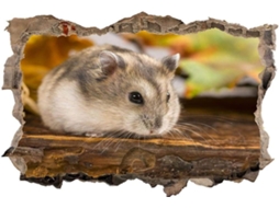 Adesivos Muraux Close-up Cinza Hamster Adesivo Adesivo Mural Para Salão De Beleza Quarto Cozinha Escritório Adulto Criança 56x81cm