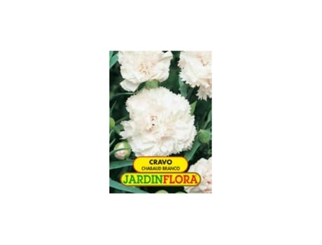 Sementes JARDIN FLORA Cravo Chabaud Branco
